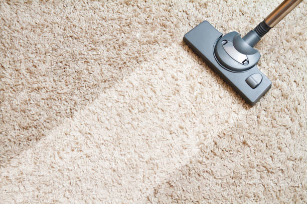 Maintenance of carpets